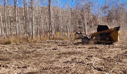 Forestry Mulching Cortez, CO