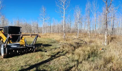 LandGrading and Leveling Cortez, CO
